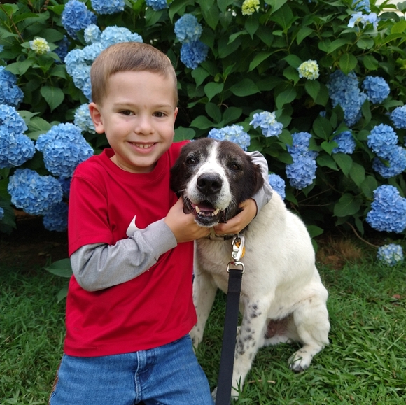 Unlisted show - Picture 3 of 4